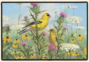 Goldfinches Decorative Pet Mat Product Image