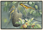 Northern Orioles Decorative Pet Mat Product Information