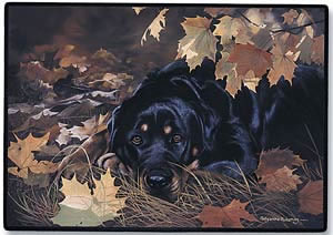 Rottweiler Decorative Pet Mat Product Image